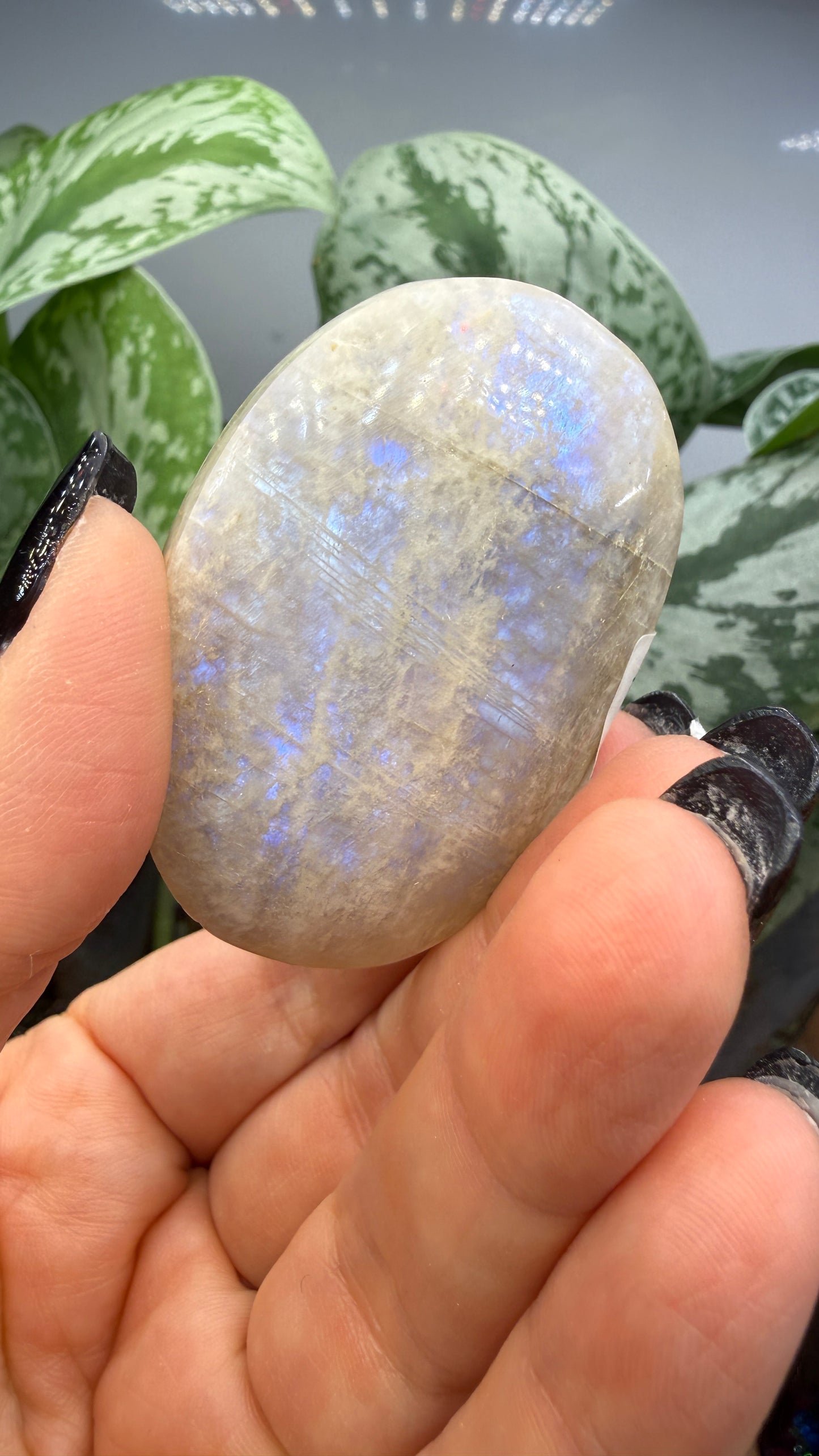 White Moonstone Palm Stone