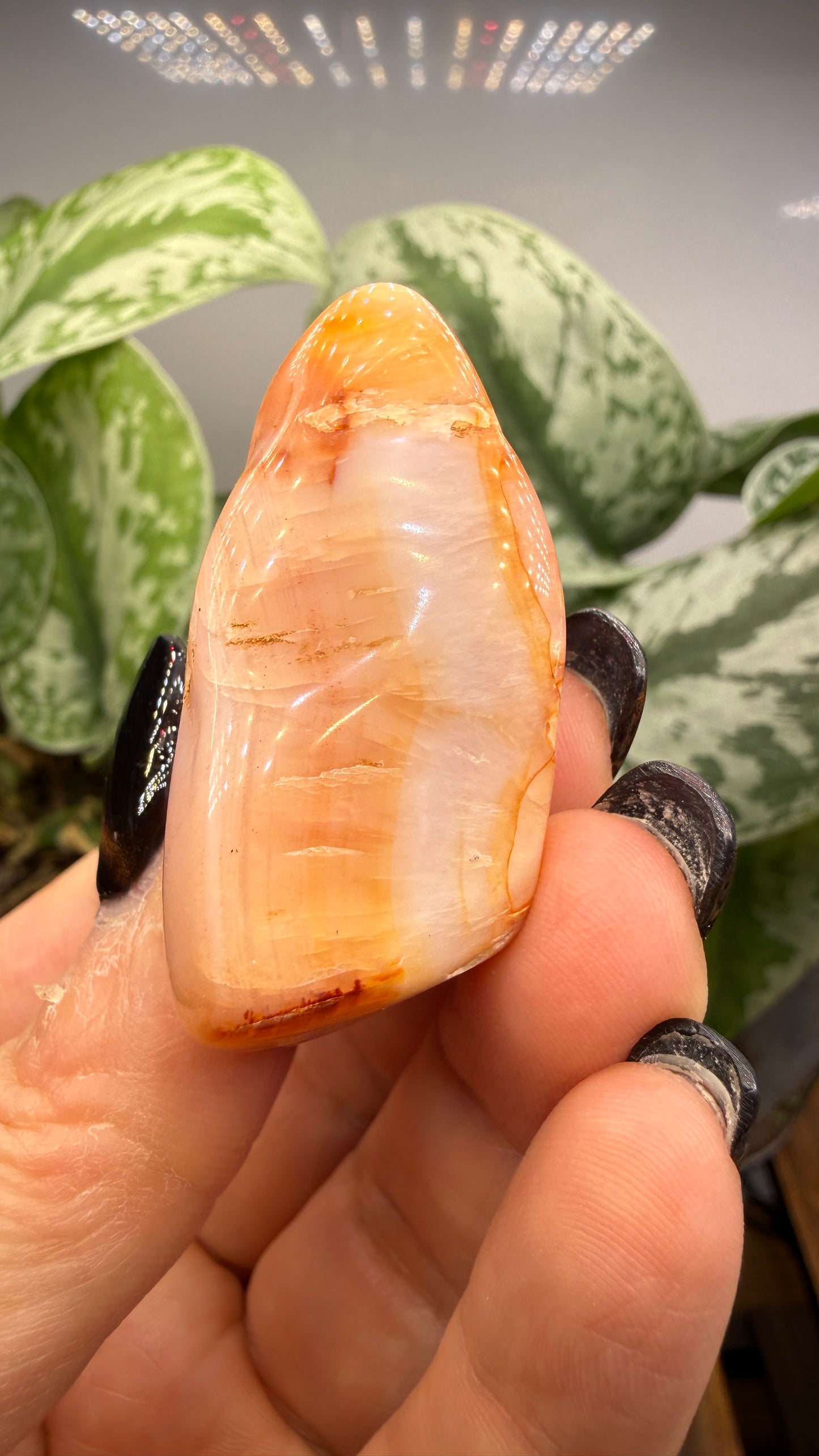 Carnelian Nugget