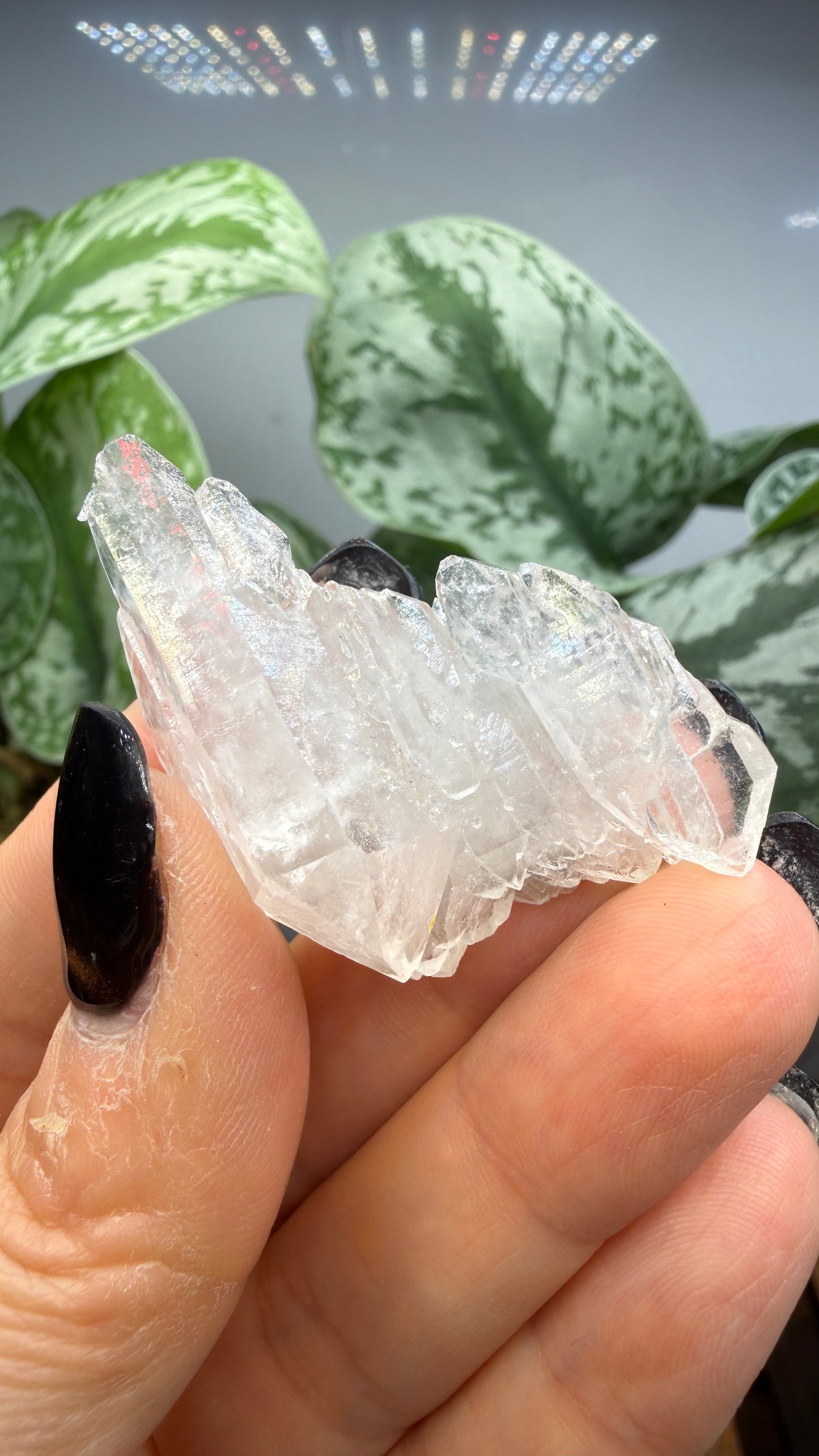 Clear Quartz Specimen- Jessieville, Arkansas