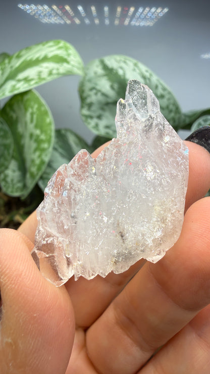 Clear Quartz Specimen- Jessieville, Arkansas