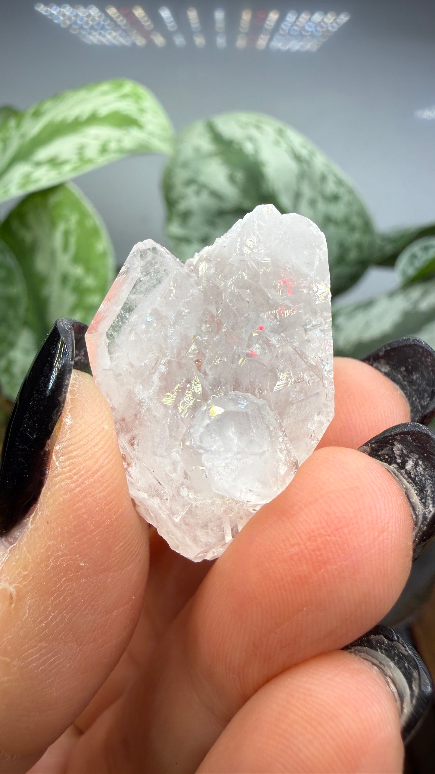 Clear Quartz Specimen- Jessieville, Arkansas