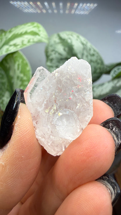 Clear Quartz Specimen- Jessieville, Arkansas