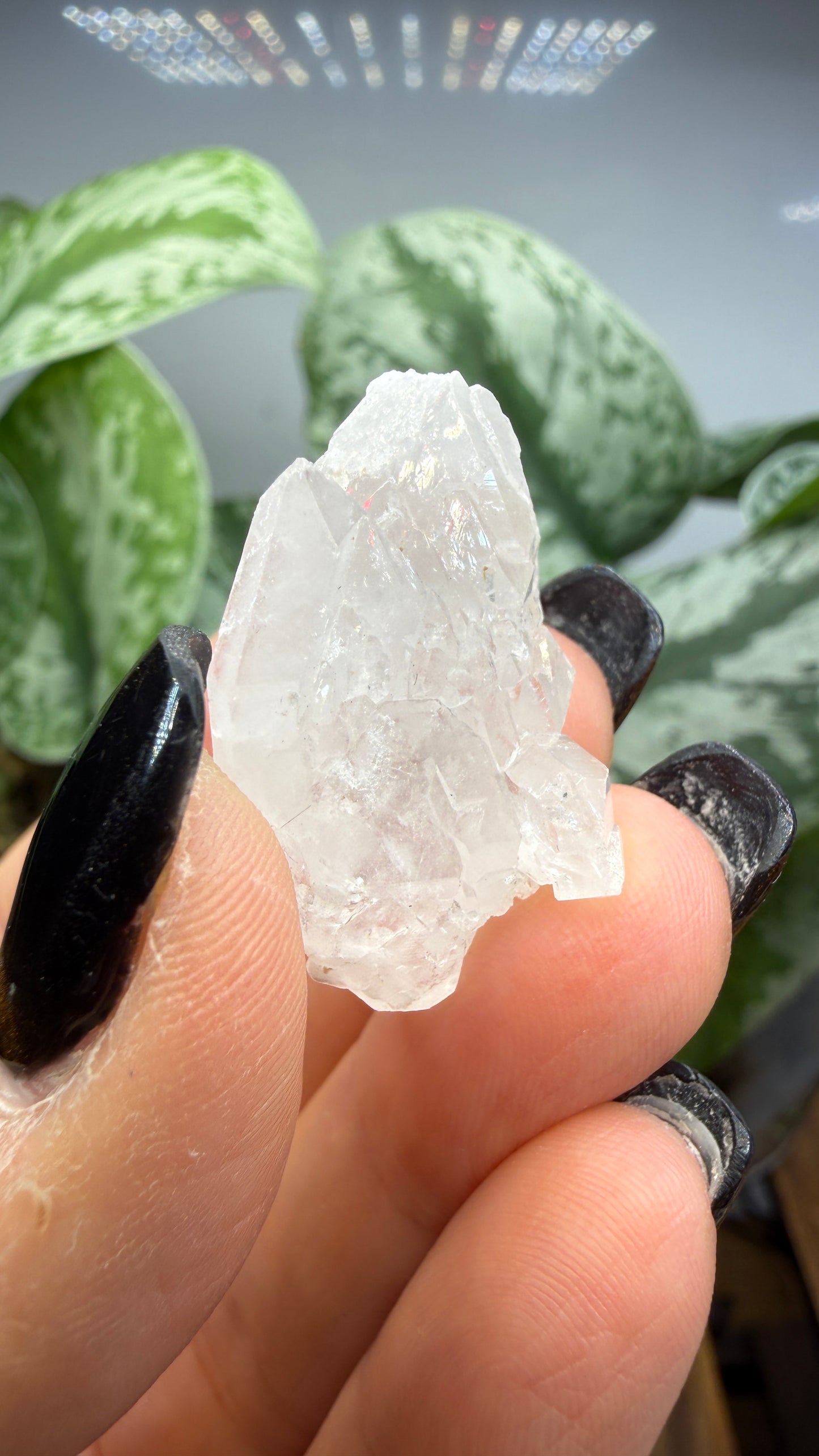 Clear Quartz Specimen- Jessieville, Arkansas