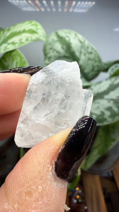 Clear Quartz Specimen- Jessieville, Arkansas