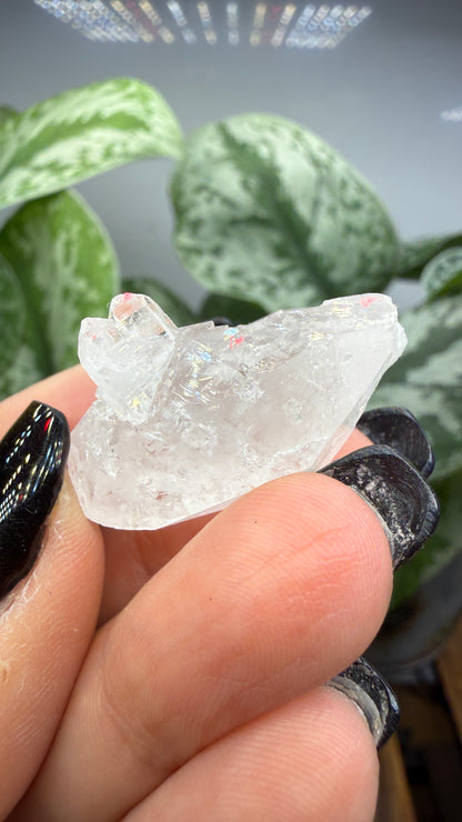 Clear Quartz Specimen- Jessieville, Arkansas