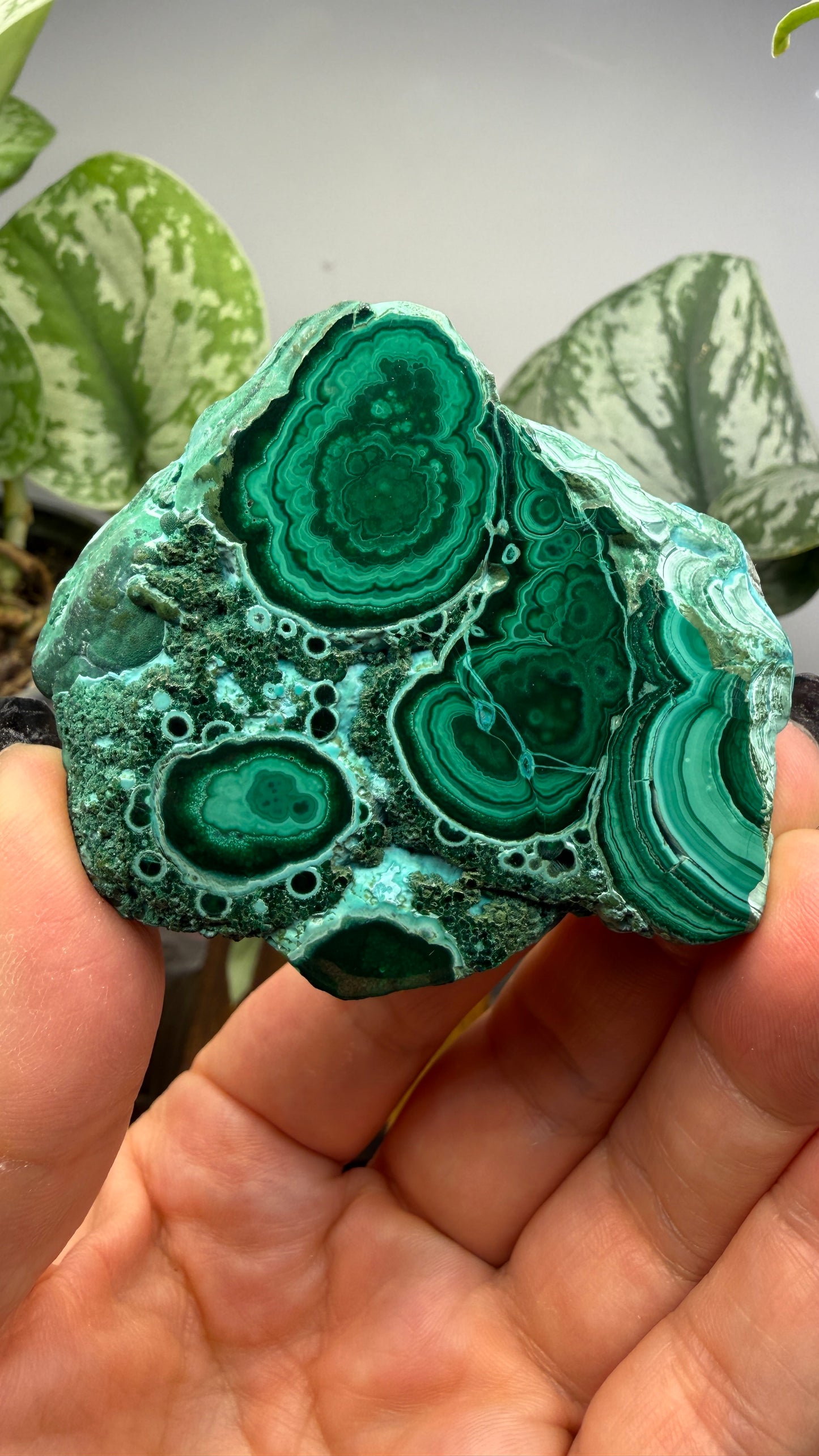 Malachite, Chrysocolla ("Malacholla")- Democratic Republic of the Congo (Slab)