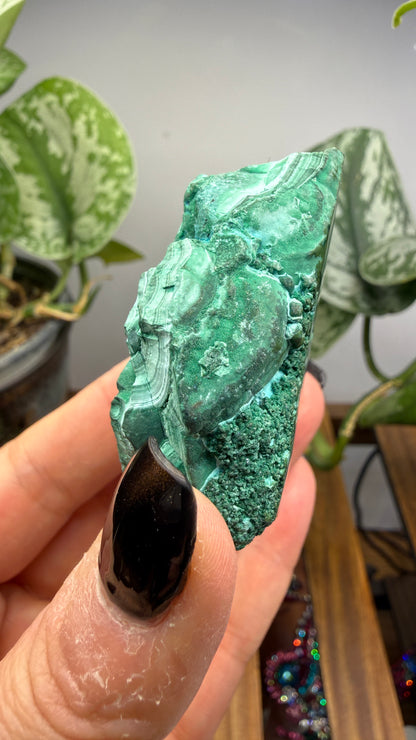 Malachite, Chrysocolla ("Malacholla")- Democratic Republic of the Congo (Slab)
