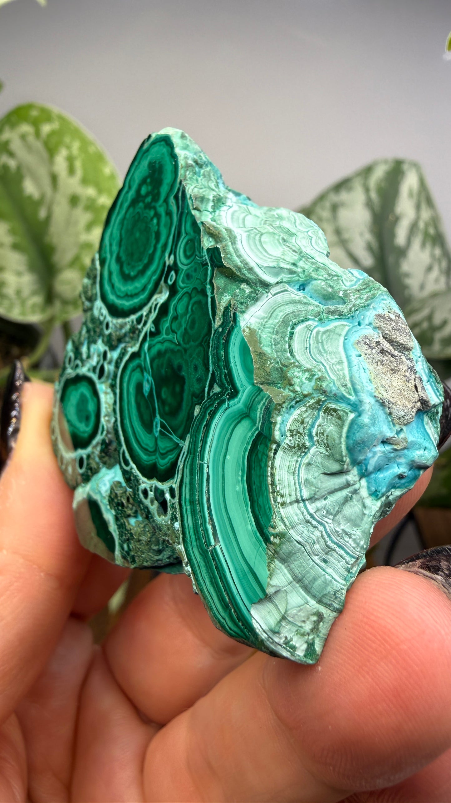 Malachite, Chrysocolla ("Malacholla")- Democratic Republic of the Congo (Slab)