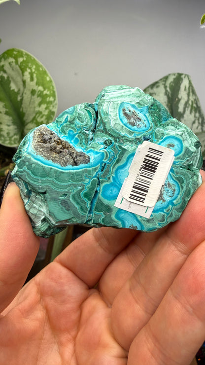 Malachite, Chrysocolla ("Malacholla")- Democratic Republic of the Congo (Slab)