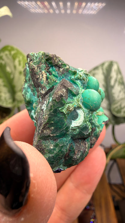 Chrysocolla- Arizona, USA