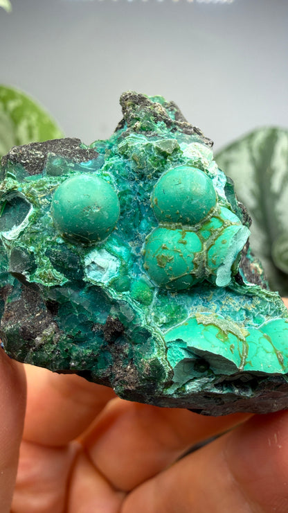 Chrysocolla- Arizona, USA