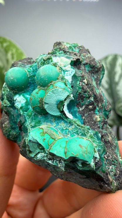 Chrysocolla- Arizona, USA
