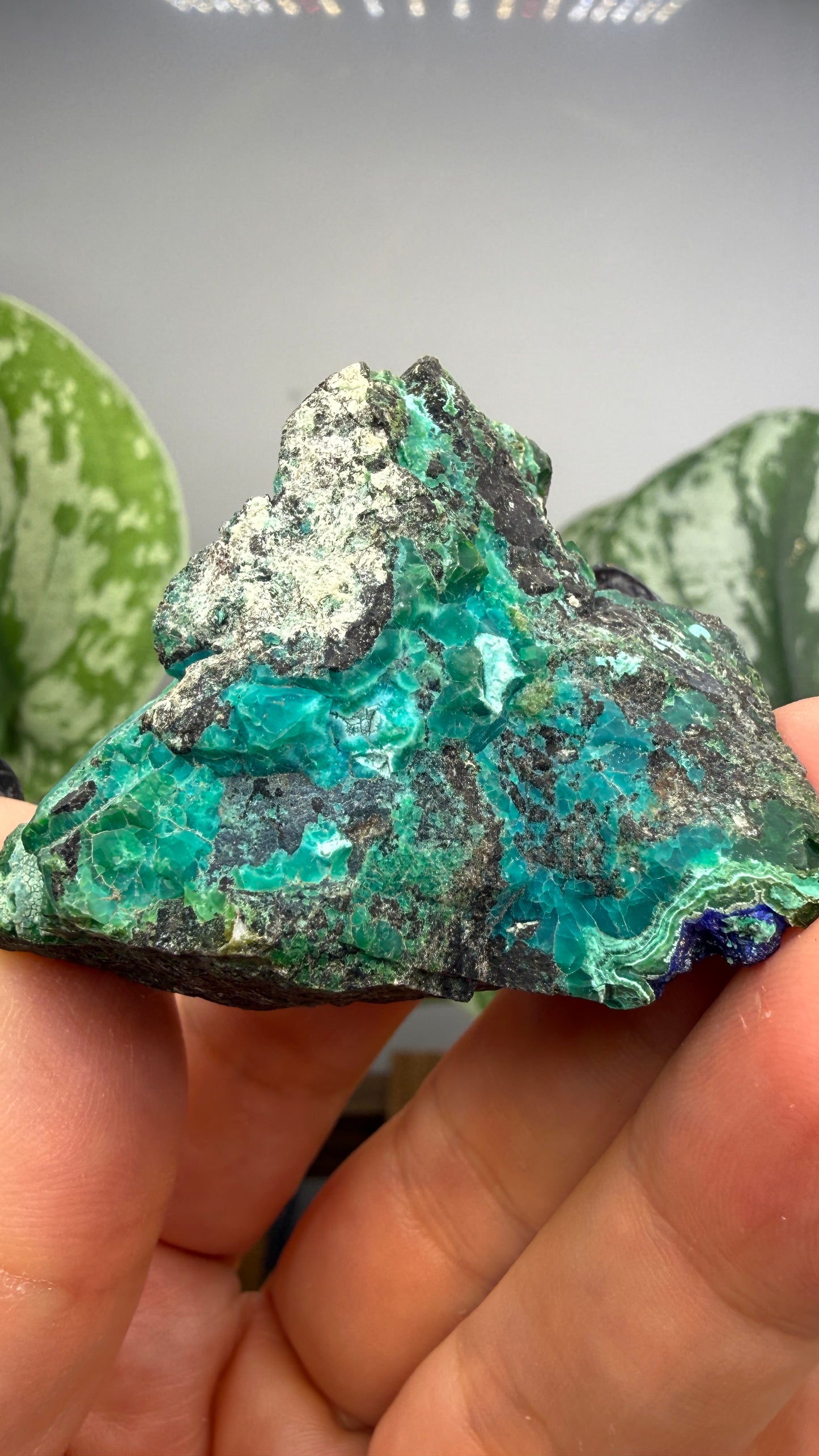 Chrysocolla- Arizona, USA