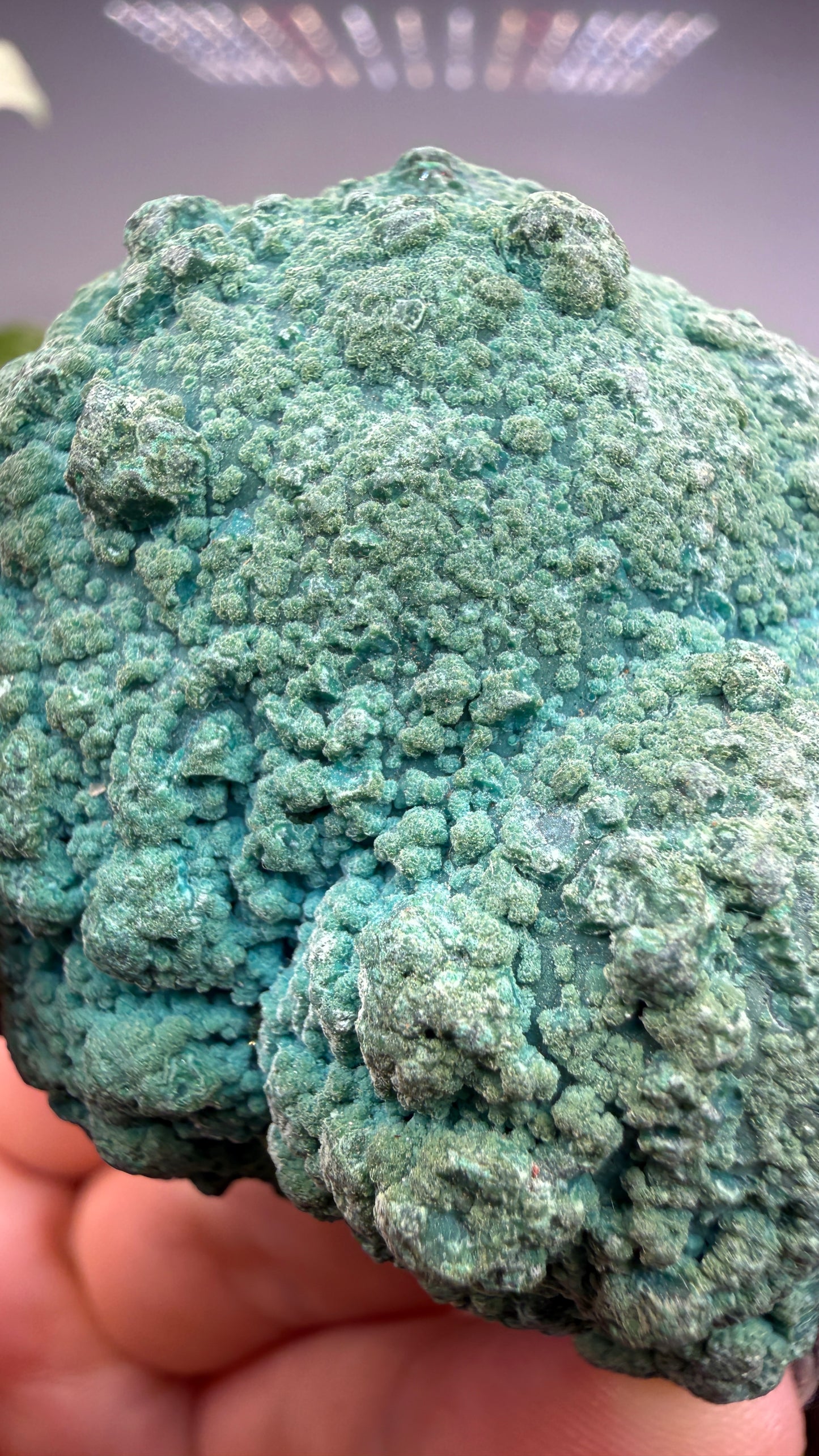 Chrysocolla- Democratic Republic of the Congo