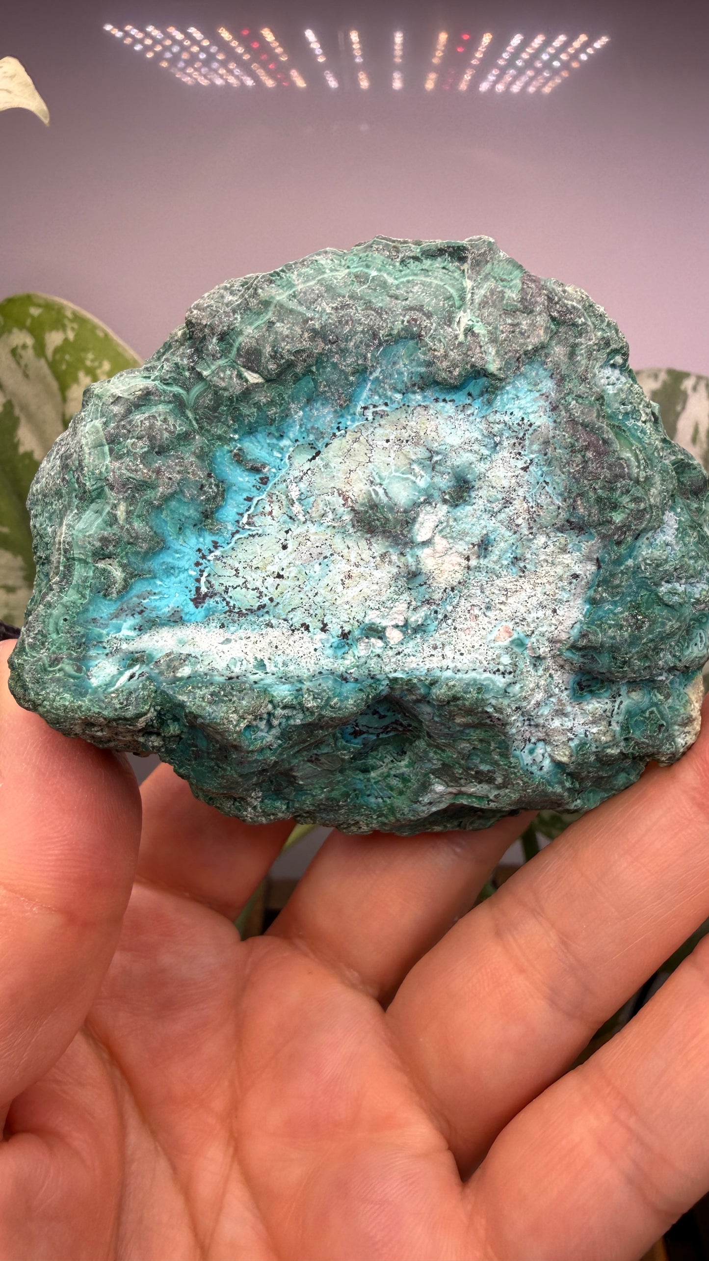 Chrysocolla- Democratic Republic of the Congo