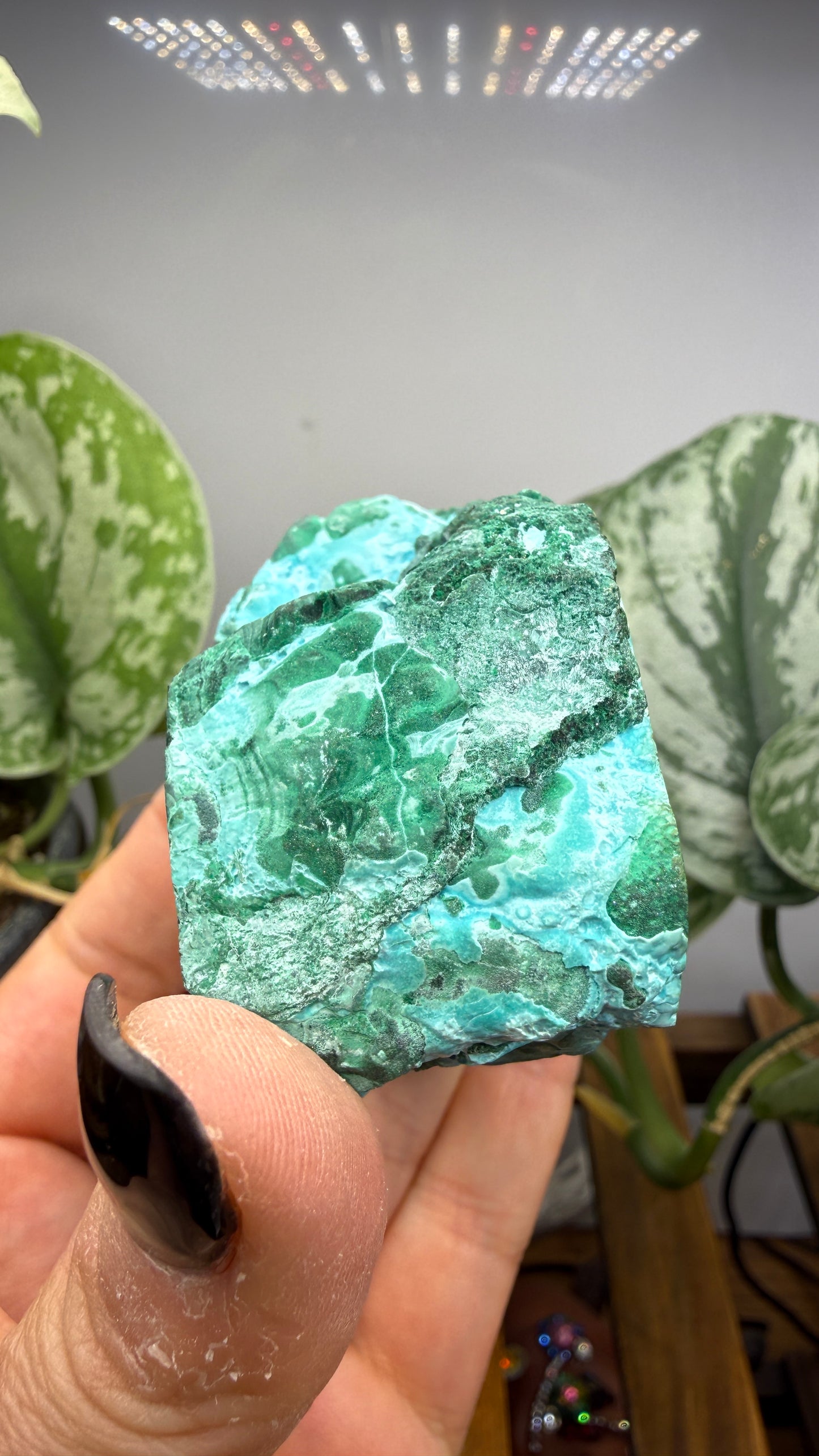 Malachite, Chrysocolla ("Malacholla")- Democratic Republic of the Congo (Slab) (Copy)
