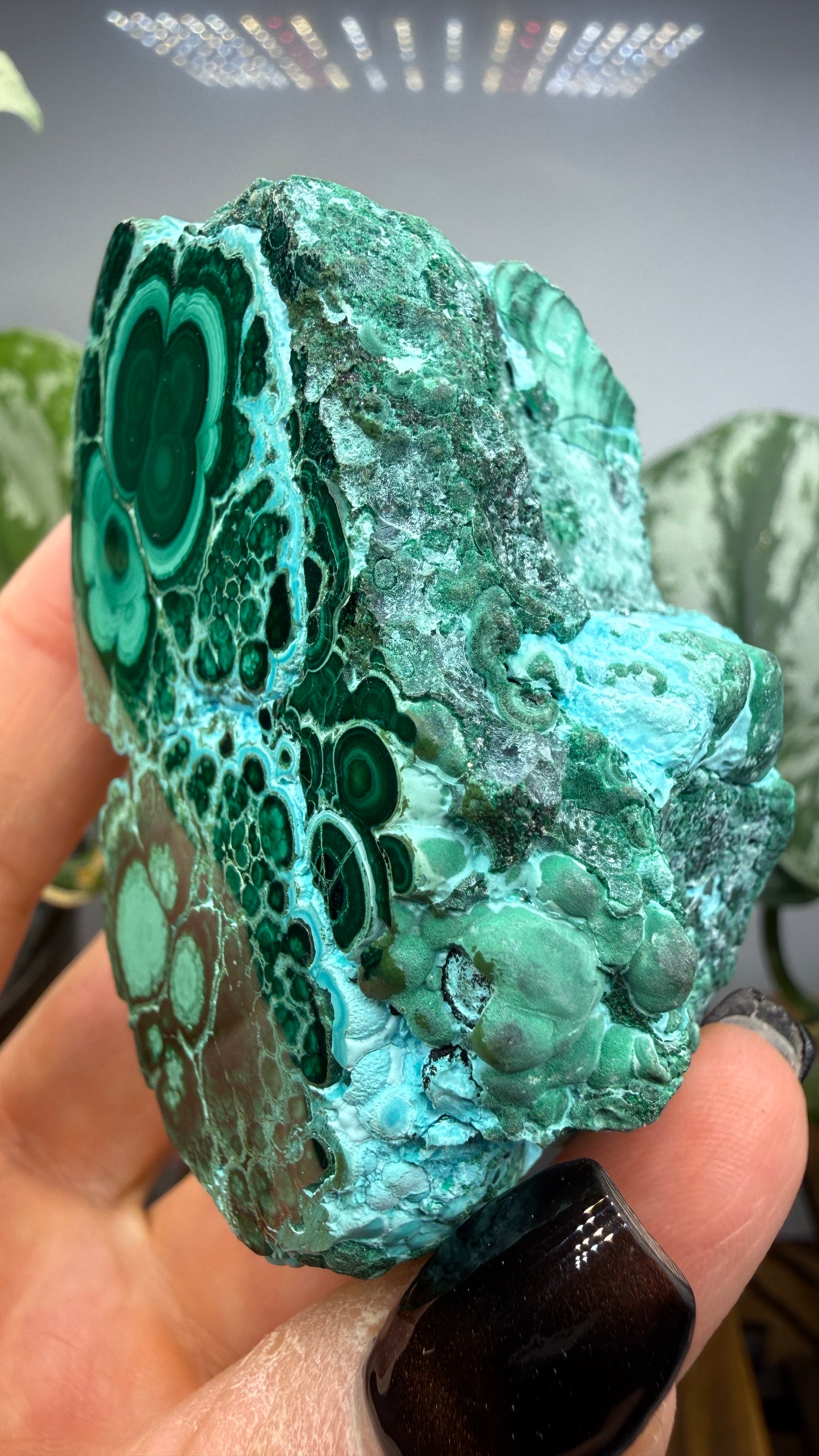 Malachite, Chrysocolla ("Malacholla")- Democratic Republic of the Congo (Slab) (Copy)