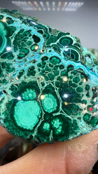 Malachite, Chrysocolla ("Malacholla")- Democratic Republic of the Congo (Slab) (Copy)