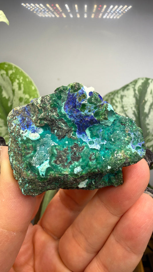 Chrysocolla, Azurite- Arizona, USA