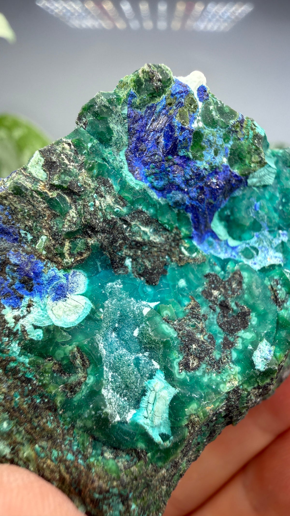 Chrysocolla, Azurite- Arizona, USA