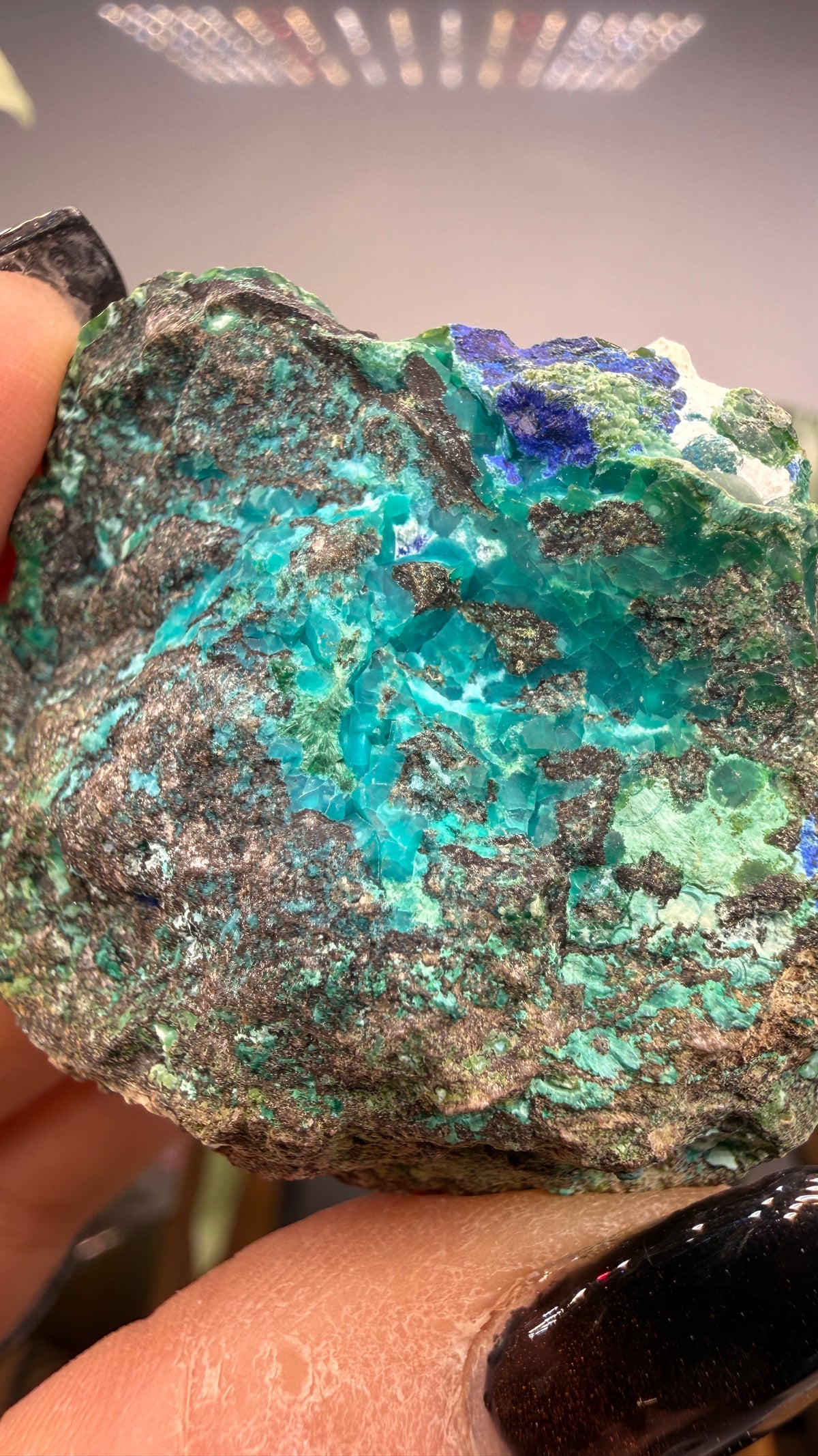 Chrysocolla, Azurite- Arizona, USA