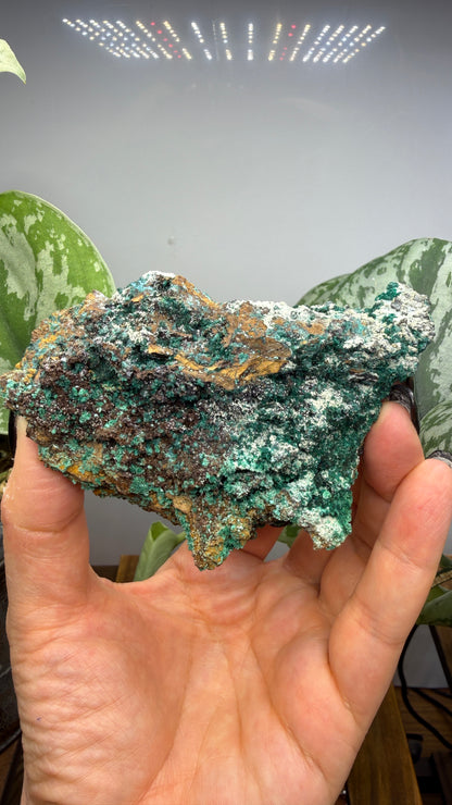 Brochantite- Pima County, Arizona, USA