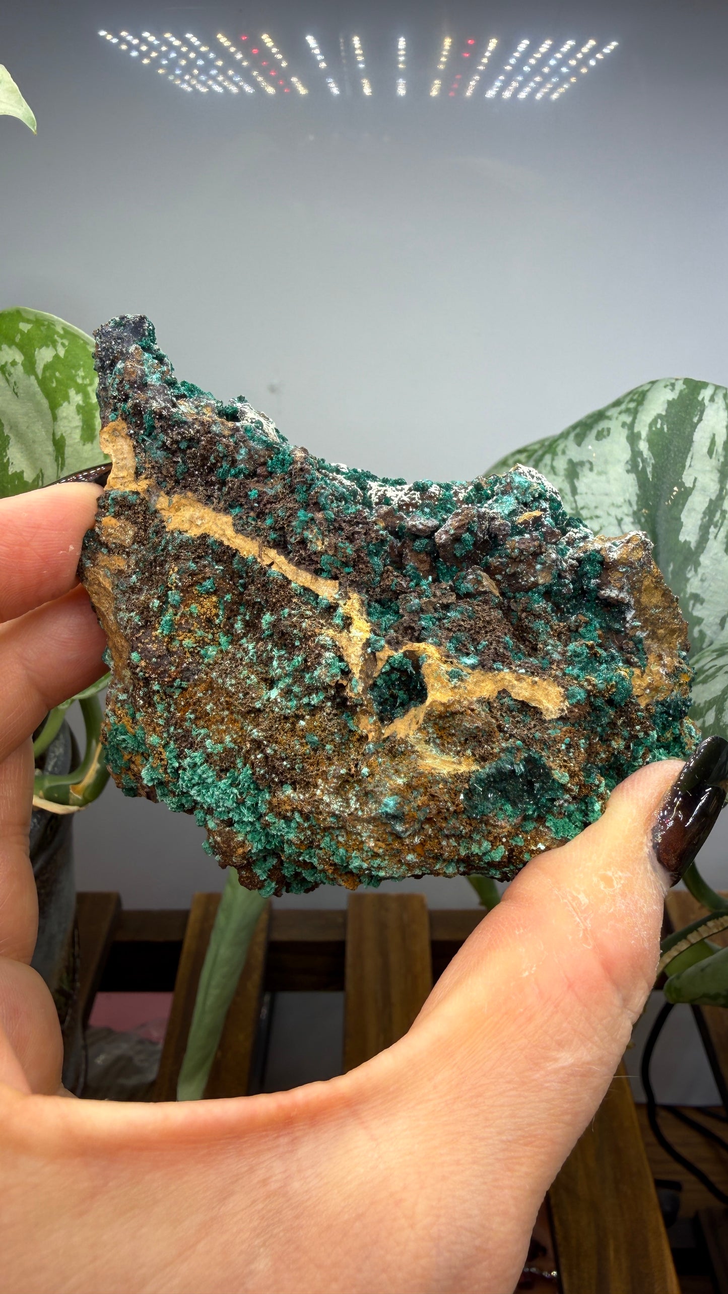 Brochantite- Pima County, Arizona, USA