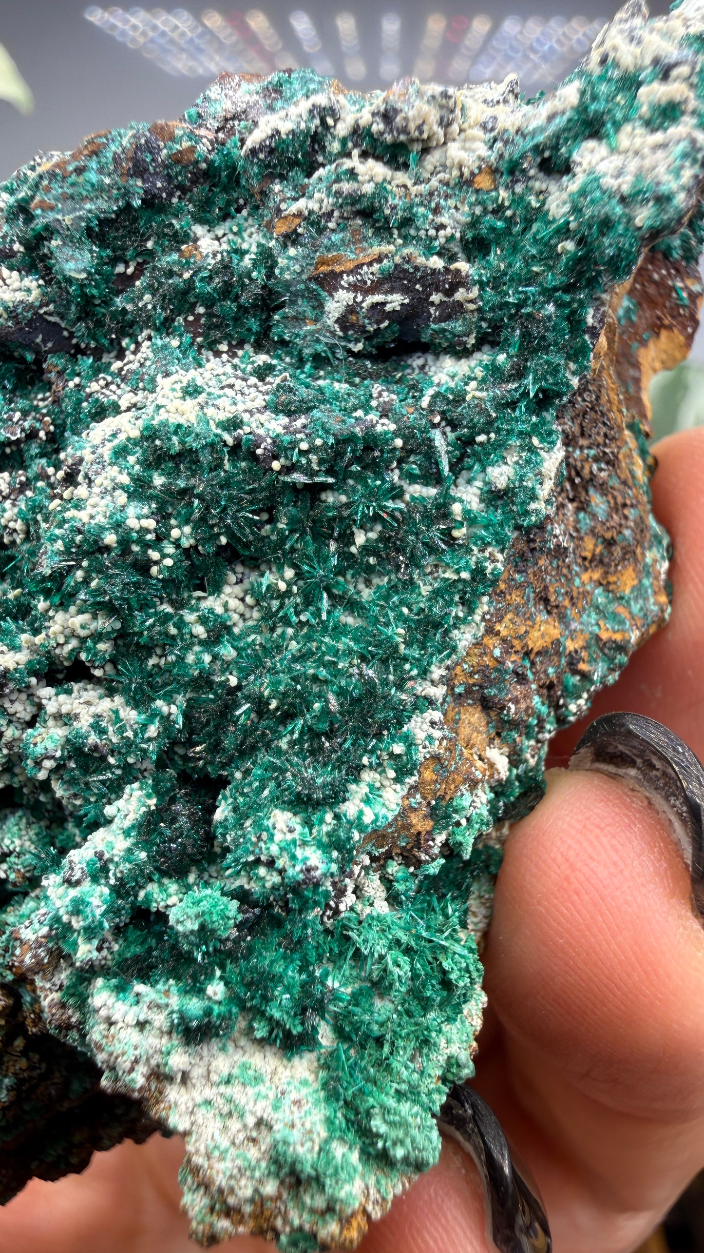 Brochantite- Pima County, Arizona, USA