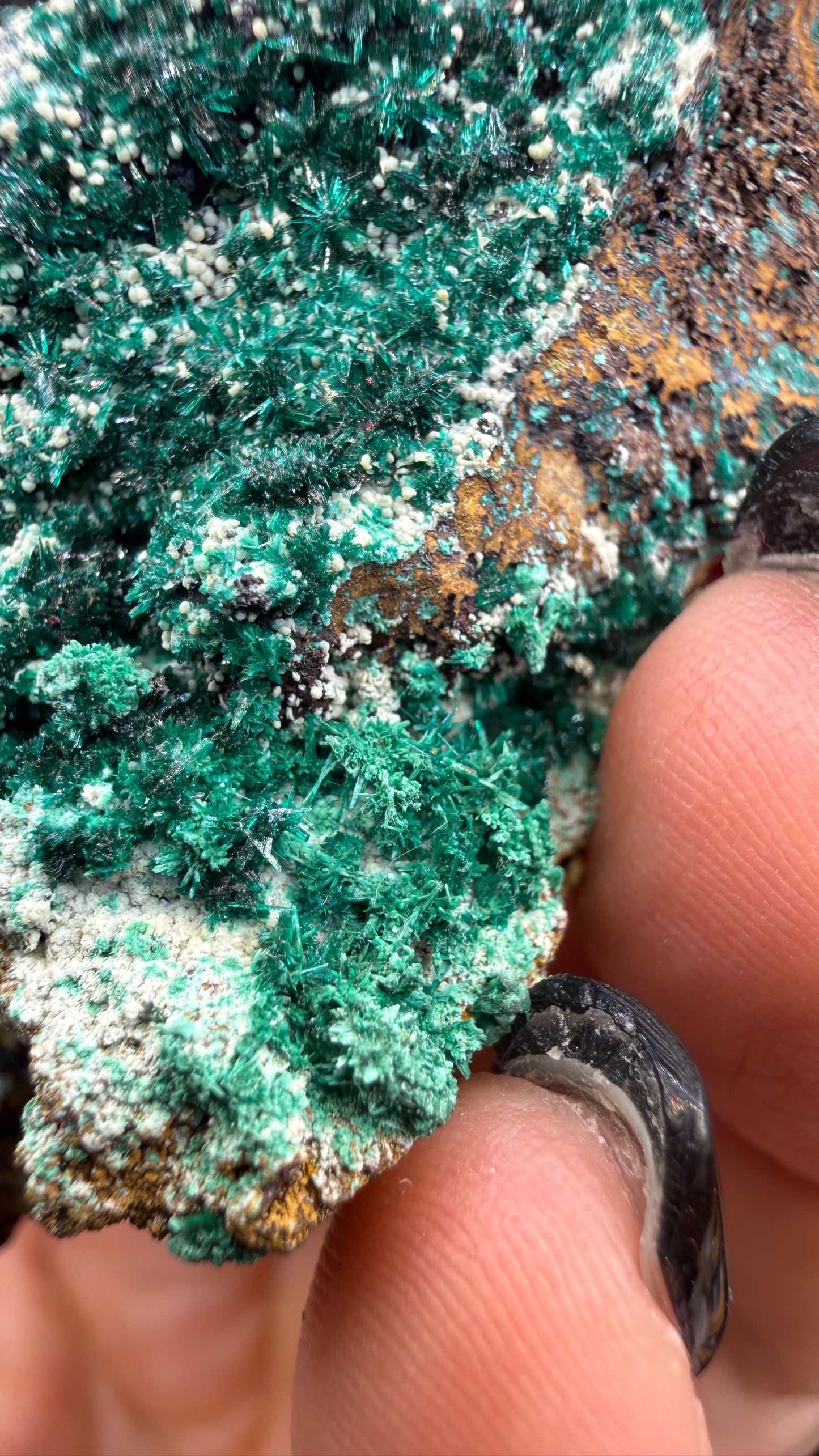 Brochantite- Pima County, Arizona, USA