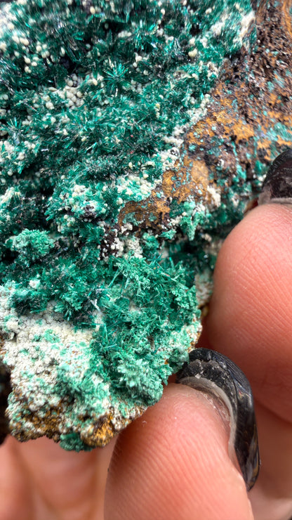 Brochantite- Pima County, Arizona, USA