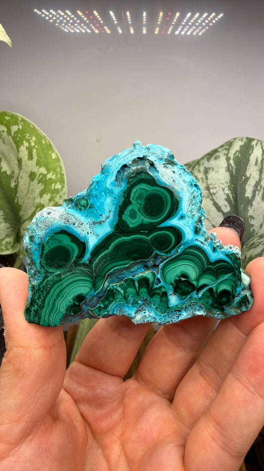 Malachite, Chrysocolla ("Malacholla")- Democratic Republic of the Congo (Slab)
