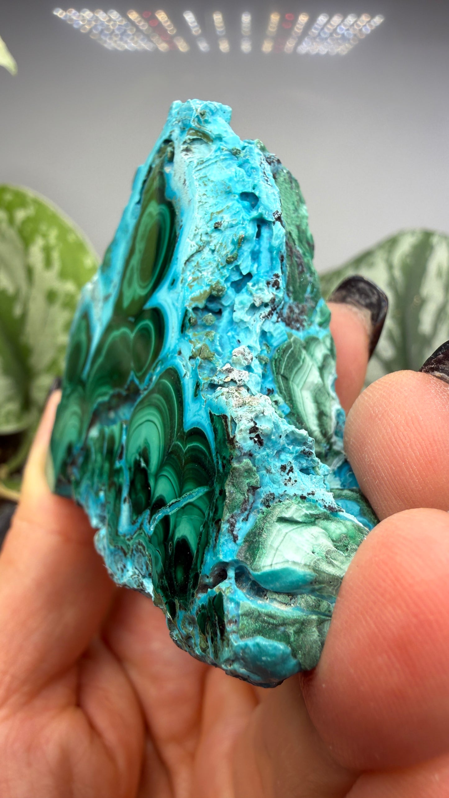 Malachite, Chrysocolla ("Malacholla")- Democratic Republic of the Congo (Slab)
