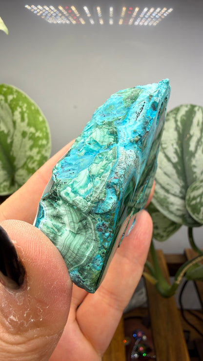 Malachite, Chrysocolla ("Malacholla")- Democratic Republic of the Congo (Slab)