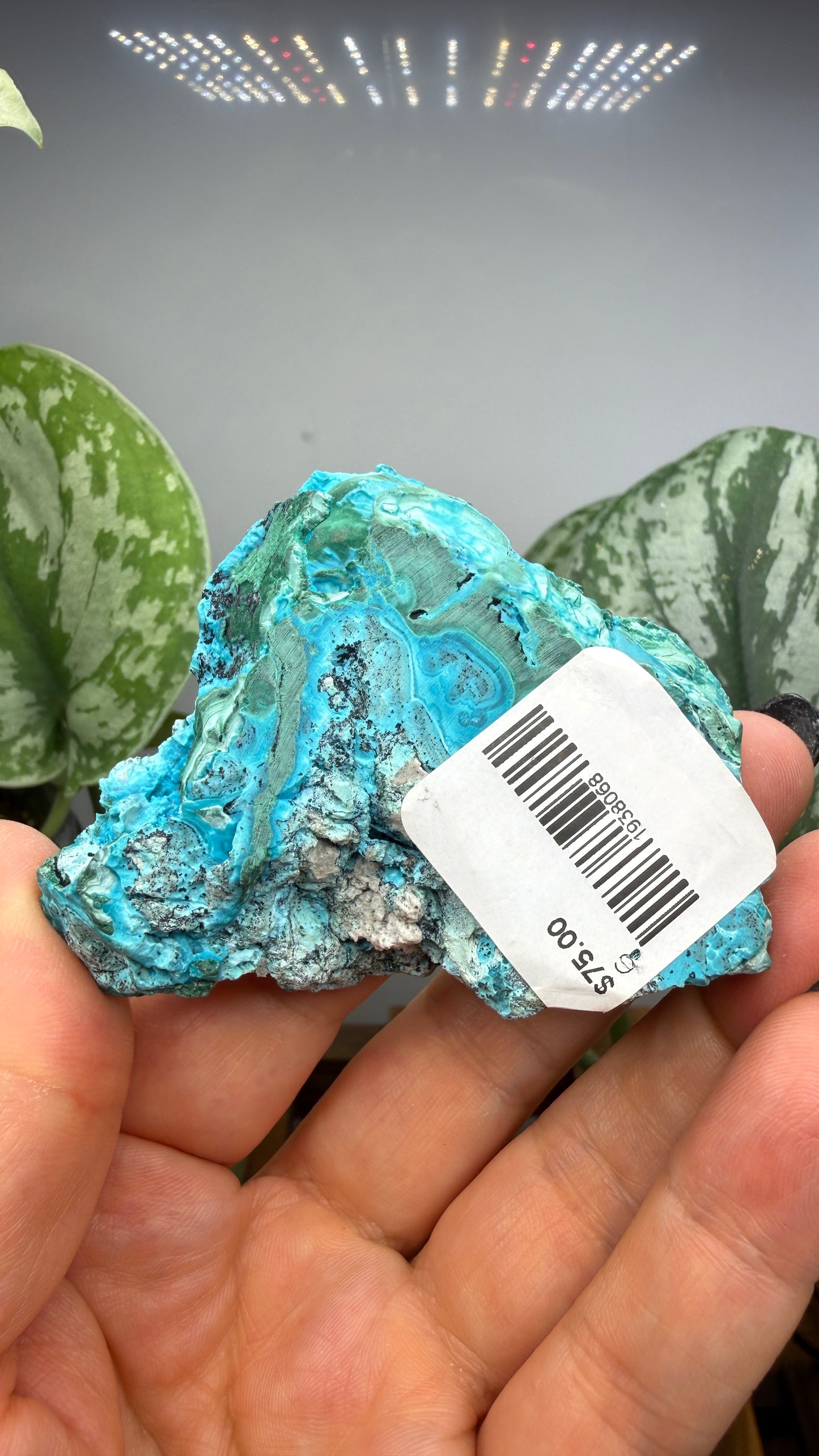 Malachite, Chrysocolla ("Malacholla")- Democratic Republic of the Congo (Slab)