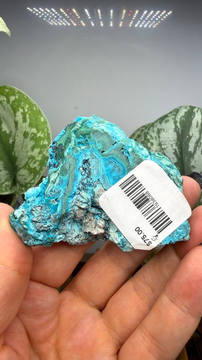 Malachite, Chrysocolla ("Malacholla")- Democratic Republic of the Congo (Slab)
