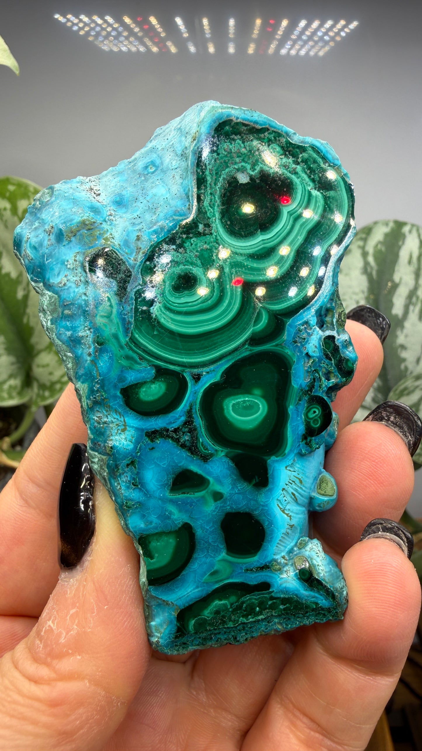 Malachite, Chrysocolla ("Malacholla")- Democratic Republic of the Congo (Slab)