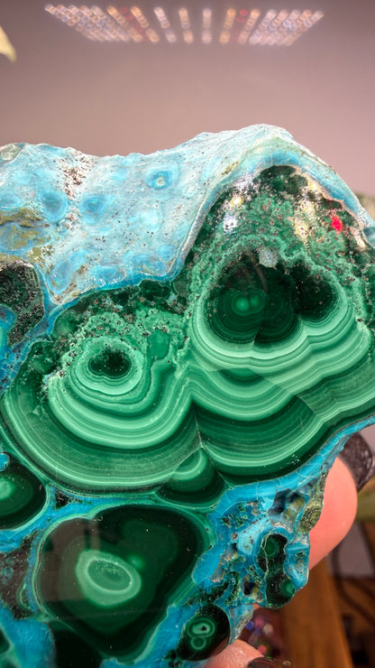 Malachite, Chrysocolla ("Malacholla")- Democratic Republic of the Congo (Slab)