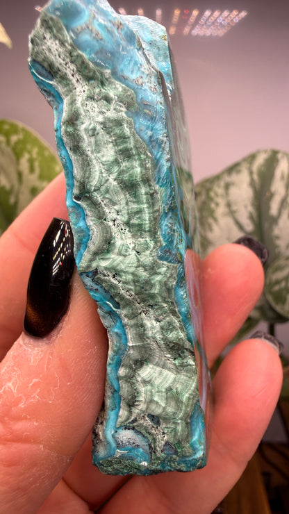 Malachite, Chrysocolla ("Malacholla")- Democratic Republic of the Congo (Slab)
