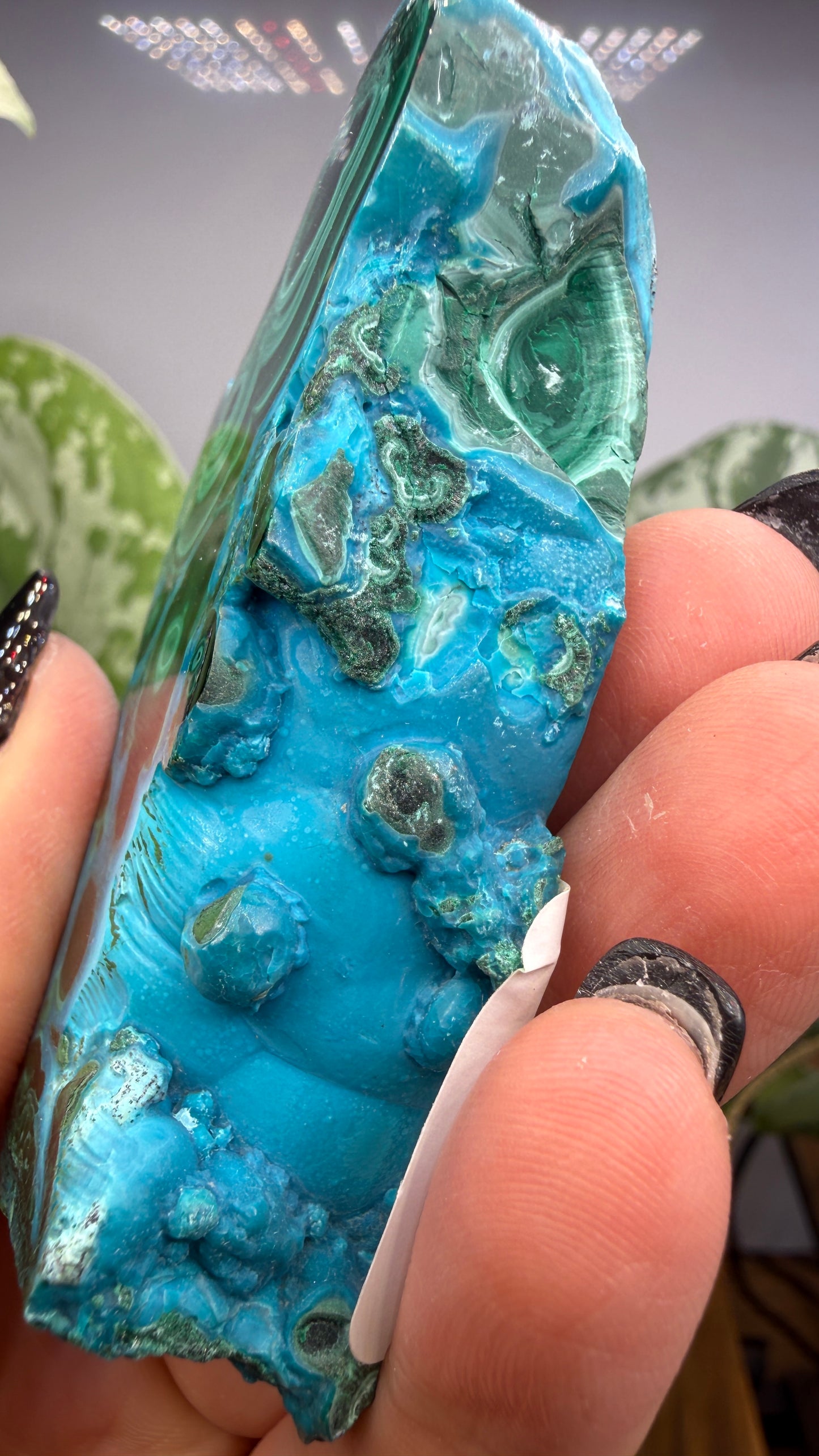 Malachite, Chrysocolla ("Malacholla")- Democratic Republic of the Congo (Slab)