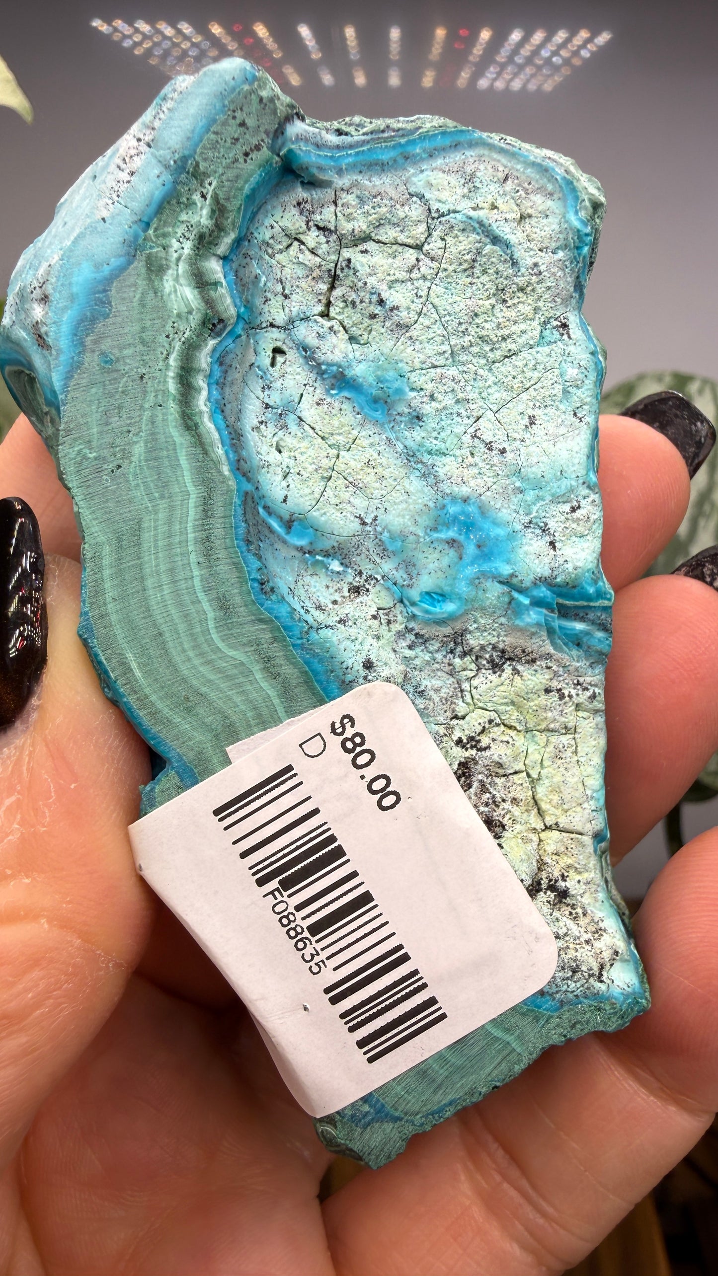 Malachite, Chrysocolla ("Malacholla")- Democratic Republic of the Congo (Slab)