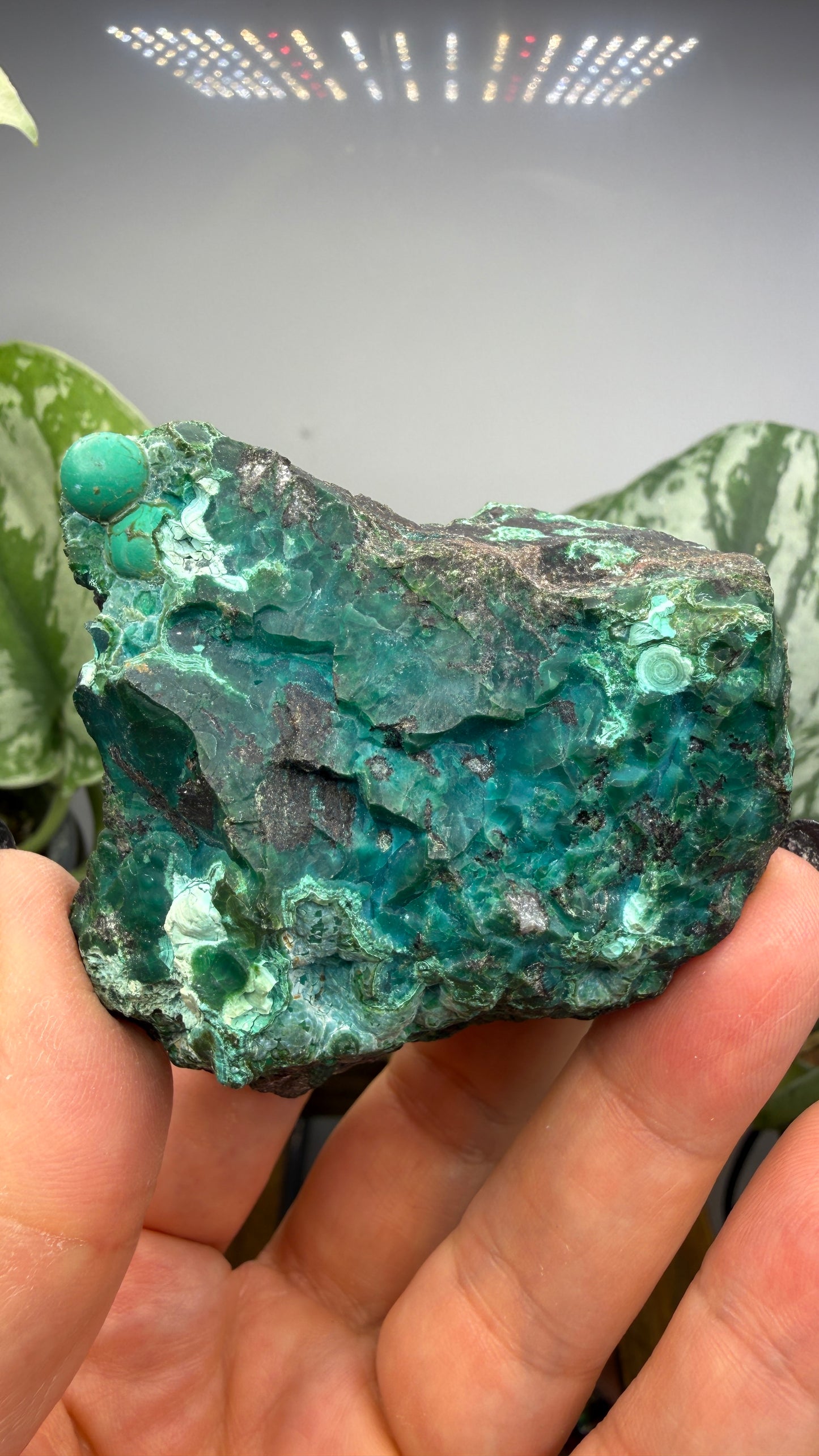 Chrysocolla- Arizona, USA