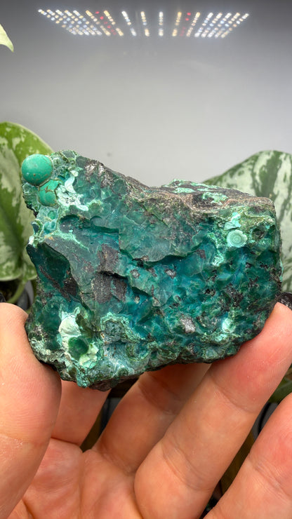 Chrysocolla- Arizona, USA