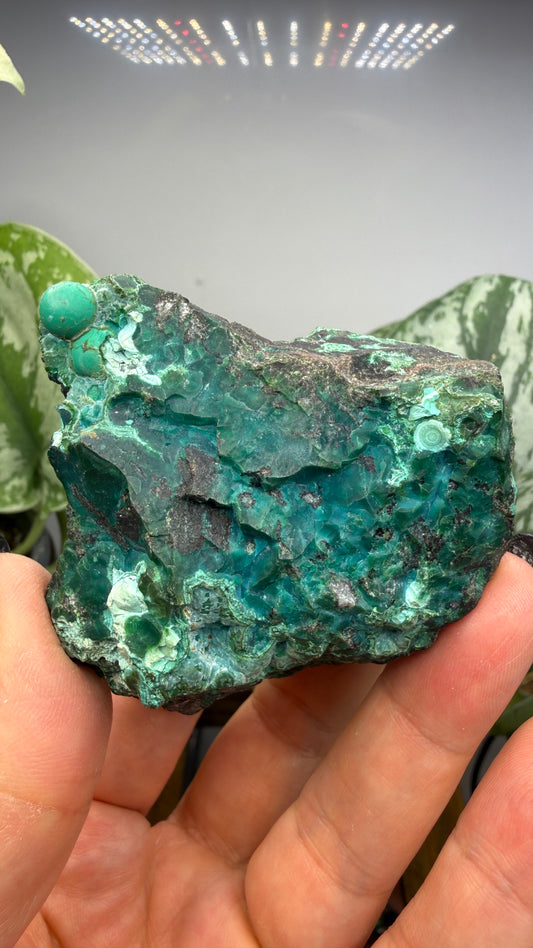 Chrysocolla- Arizona, USA