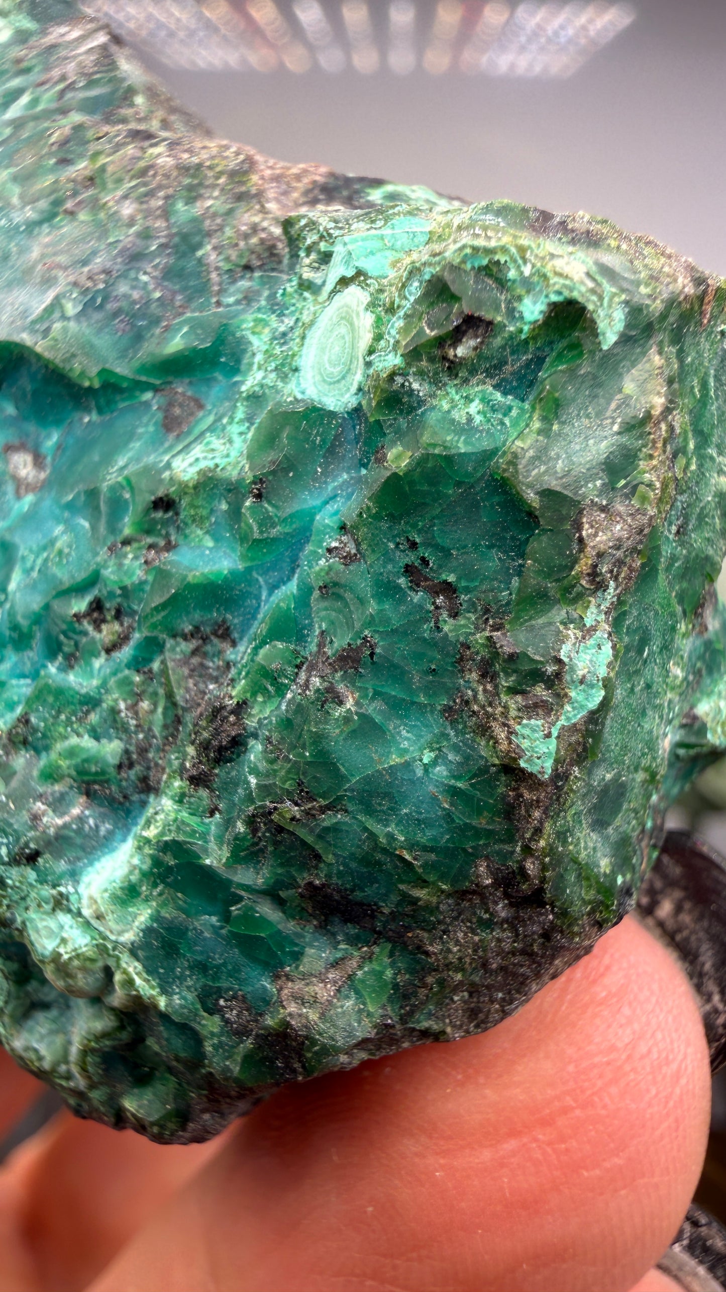 Chrysocolla- Arizona, USA