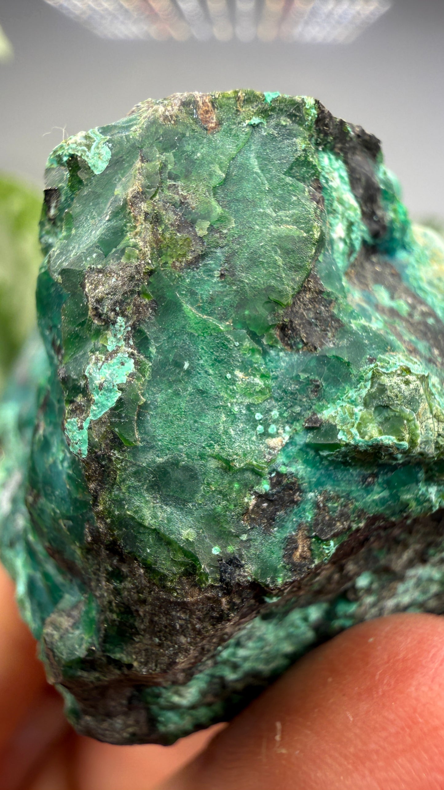 Chrysocolla- Arizona, USA