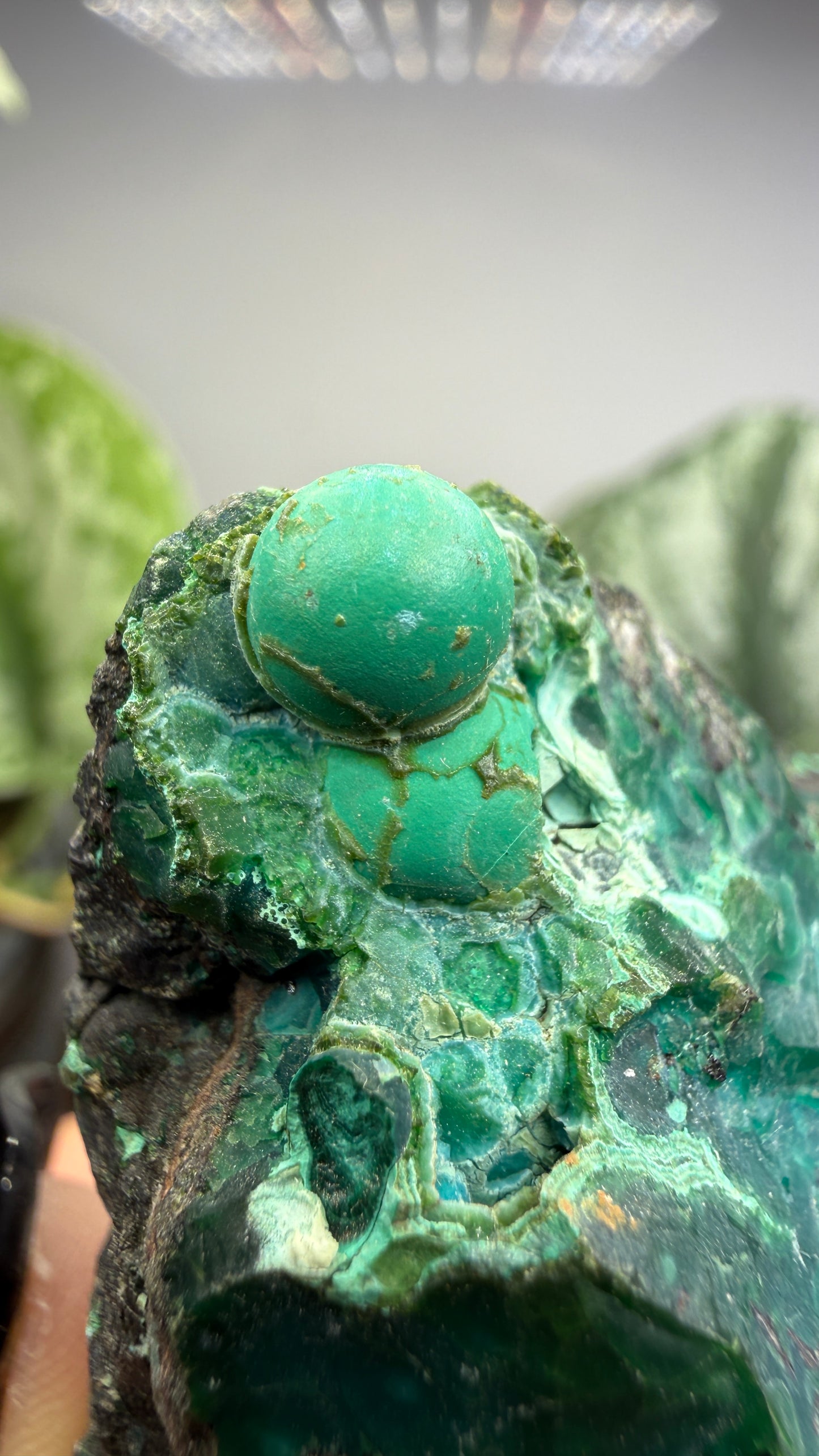 Chrysocolla- Arizona, USA