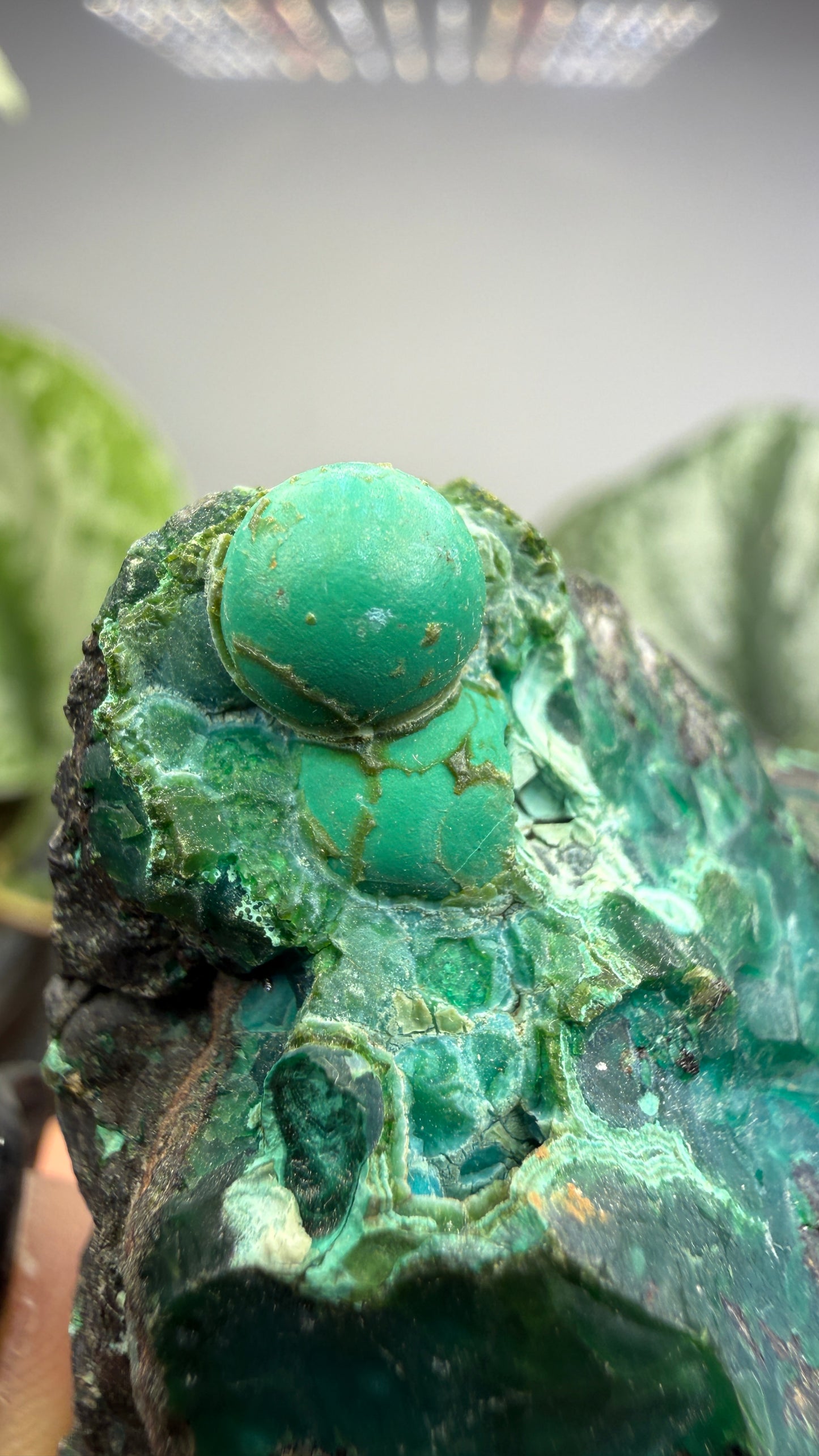 Chrysocolla- Arizona, USA