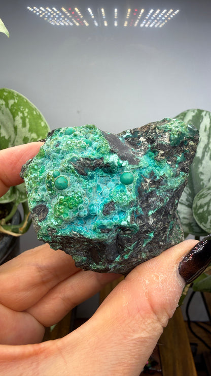 Chrysocolla- Arizona, USA