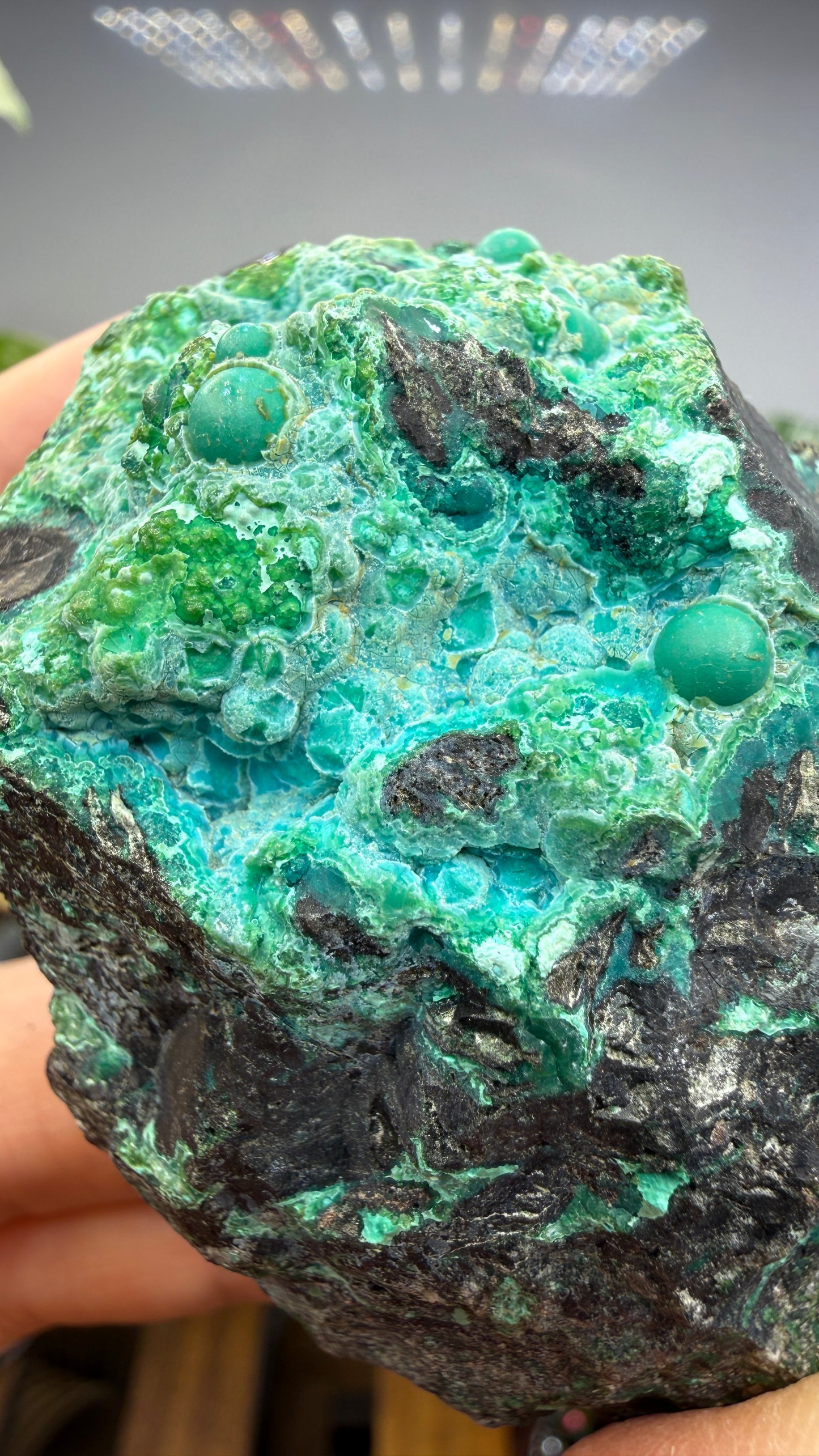 Chrysocolla- Arizona, USA