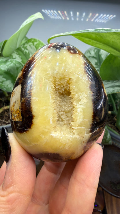 Septarian Egg- Madagascar